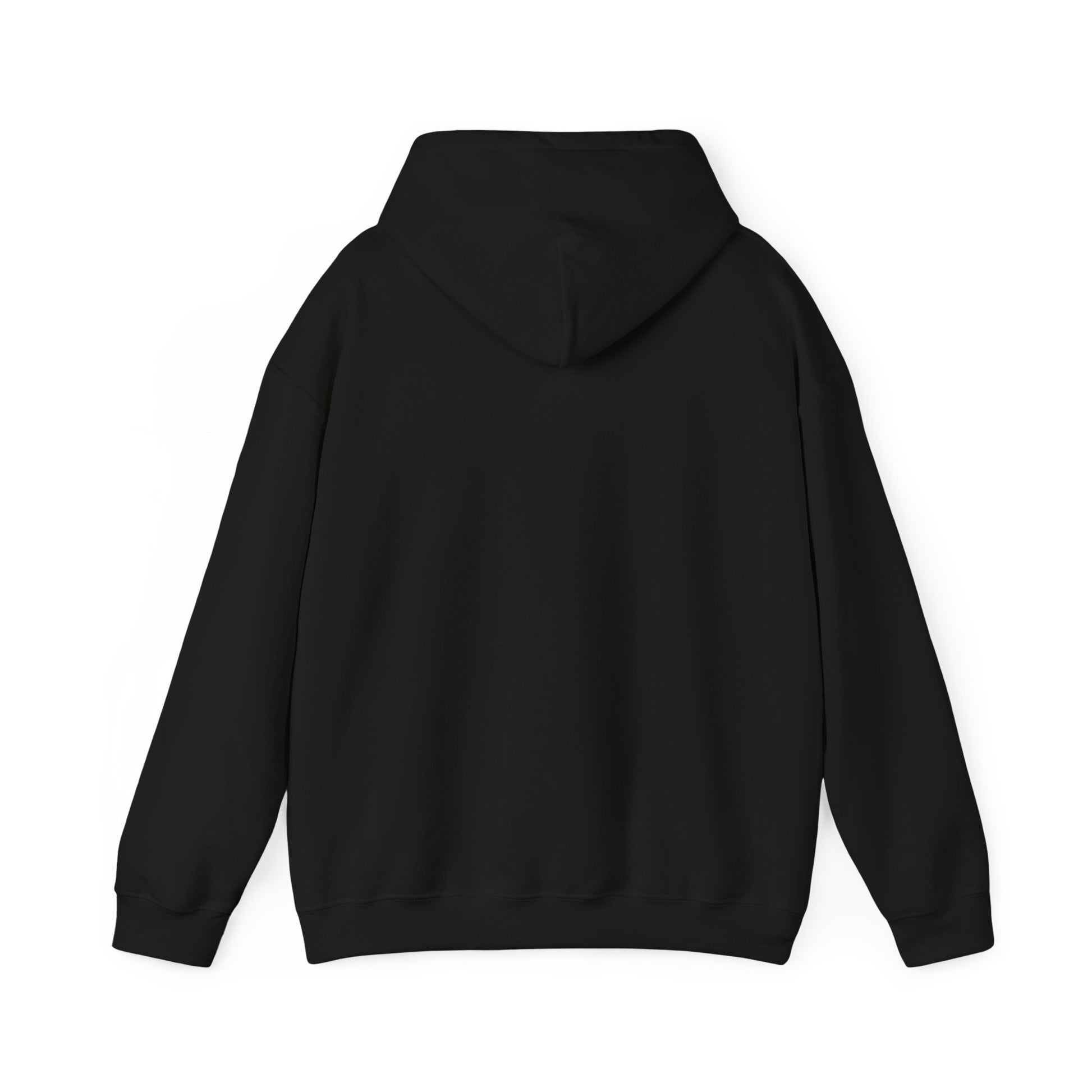 Back of a black hoodie on a white background.#color_black