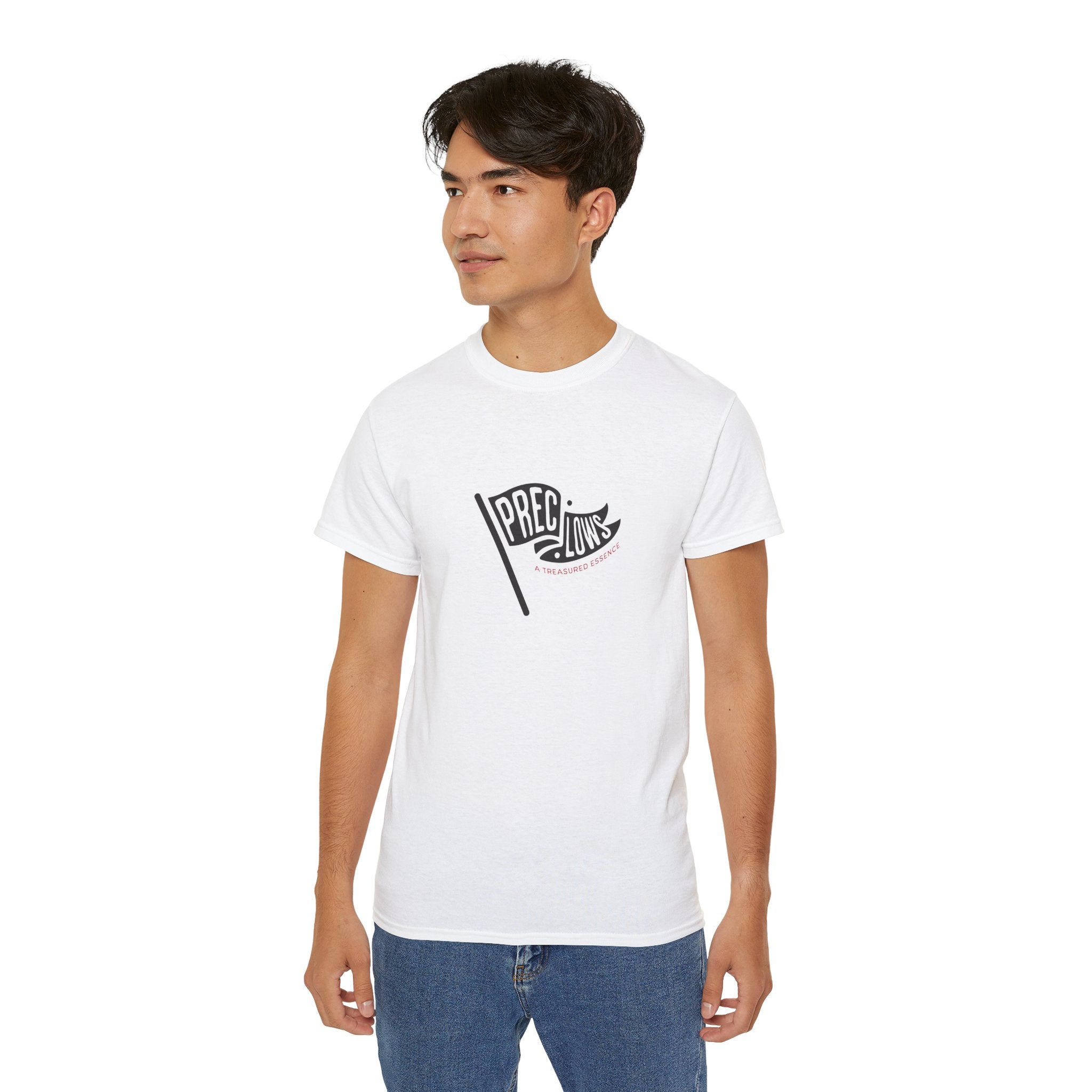 Precious Hollows Vintage Flag Logo T-Shirt