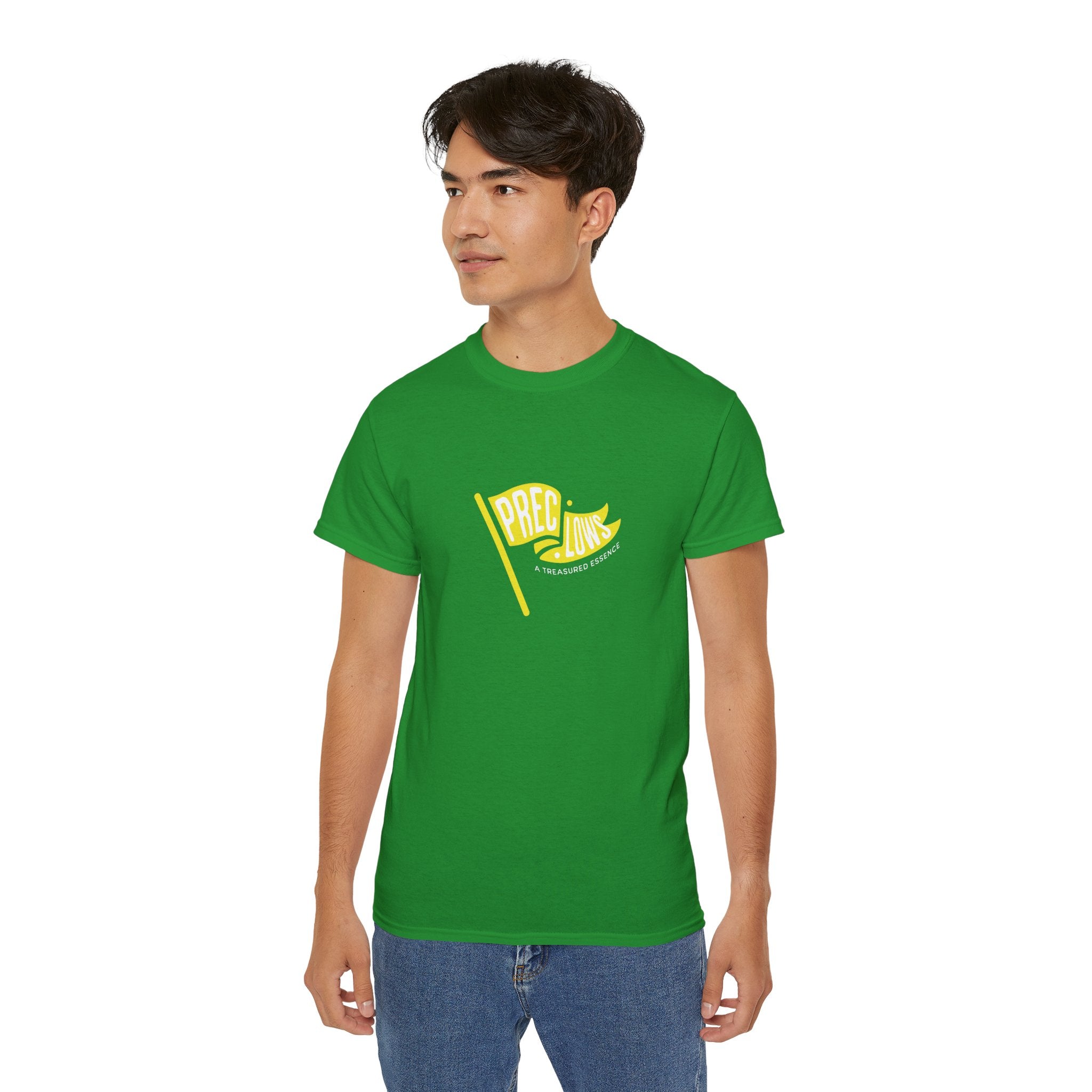 Precious Hollows Vintage Flag Logo T-Shirt