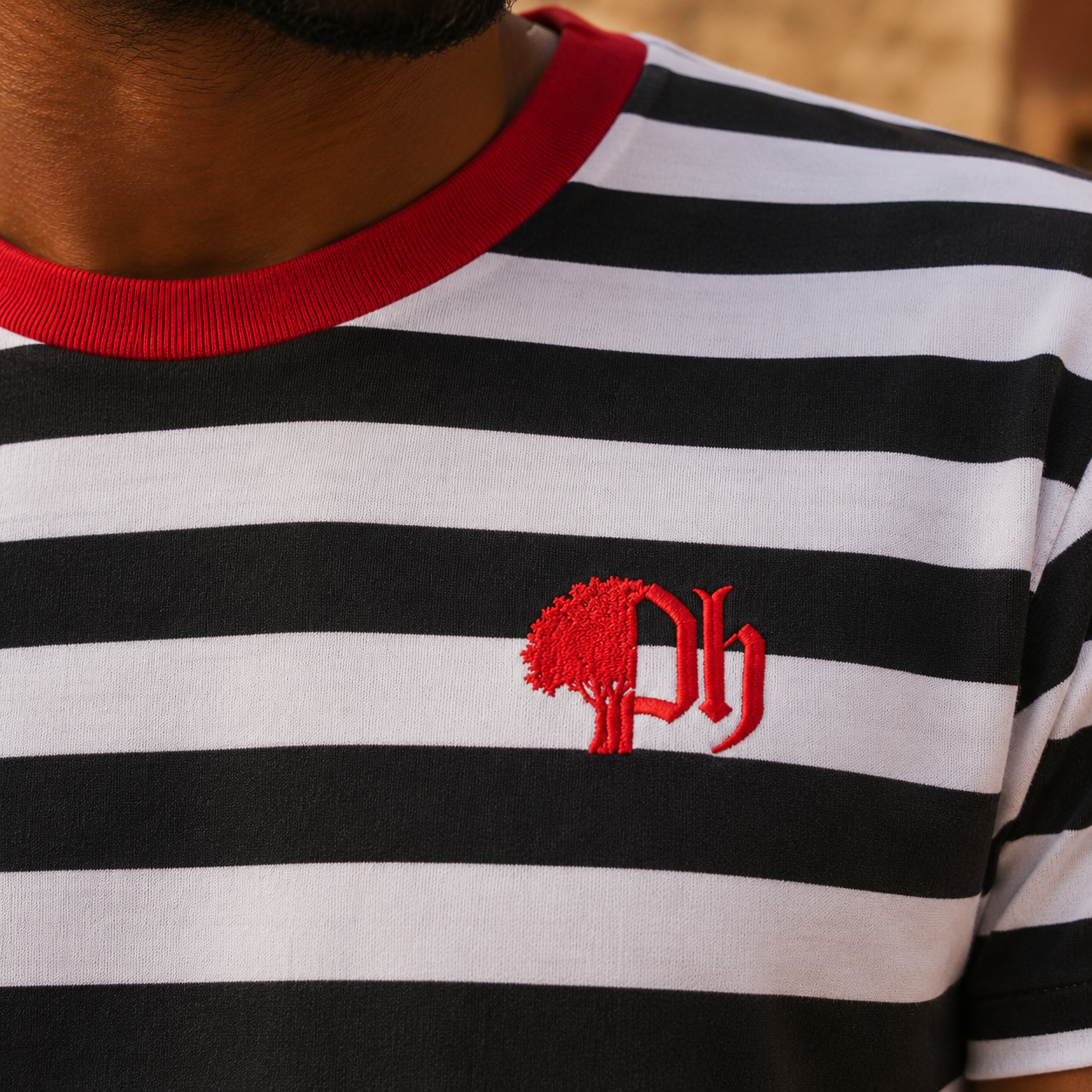 The District Stripe Tee