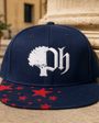Fieldhouse Snapback with embroidered emblem and stars